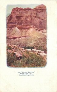 Postcard Arizona Grand Canyon Indian Gardens Bright Angel Trail 1906 23-2507