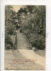 3144278 Russia St. Petersburg PAVLOVSK Stone stairs Vintage PC