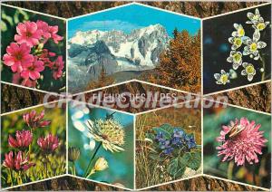 Postcard Modern Flowers of the Alps