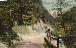 Vintage Postcard 1913 The Gorge Road Mountain Trail Greenfield Massachusetts MA