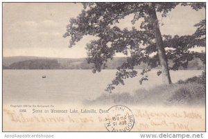 Scene On Wononsko Lake Connecticut Rotograph 1905
