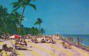 Florida Key Biscayne Colorful Crowded Beach At Crandon Park