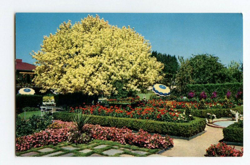 Postcard Spanish Garden Lambert Gardens Portland Ore. Standard View Card 