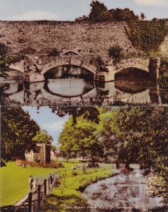 River Walk Abbots Bridge Bury St Edmunds 2x 1960s Postcard s