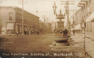 Weedsport NY Seneca Street The Fountain Street View Real Photo Postcard