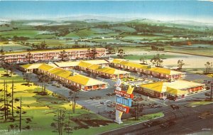 Chattanooga Tennessee 1960s Postcard Albert Pick Motel