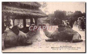 Old Postcard Marseilles Colonial Exhibition in 1922 Palace of the AOF Camel C...