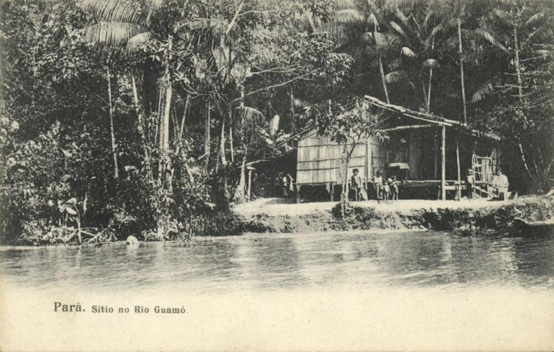 brazil, PARA, Sitio no Rio Guamo, Native Children (1899)