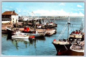 Fishing Boats, Port de St Pierre, St Pierre et Miquelon, Vintage Chrome Postcard