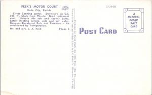 DADE CITY, FL Florida  PEEK'S MOTOR COURT  c1950s  Linen  Roadside   Postcard