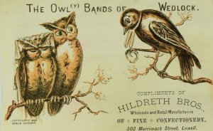 1882 Hildreth Bros. Confectionery Anthropomorphic Owls Marriage Bird & Ring P83