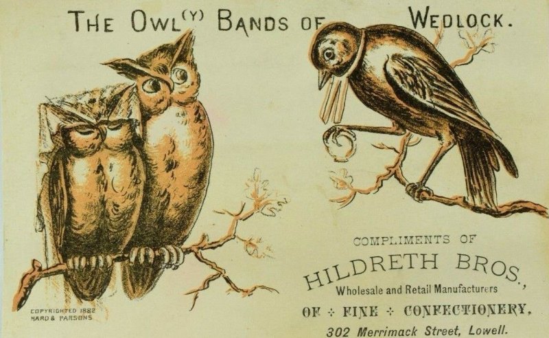 1882 Hildreth Bros. Confectionery Anthropomorphic Owls Marriage Bird & Ring P83