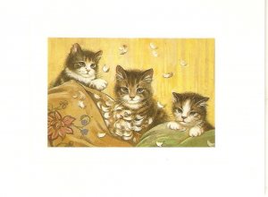 Kittens, by Mercy Creed Nice English folded card. Size 10 x 13 cms