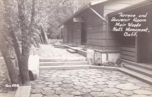 California Monument Terrace And Souvenir Room Muir Woods Nat'l