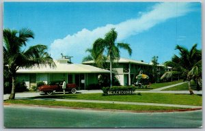 Naples On The Gulf Florida 1950s Postcard The Beachcomber Motel