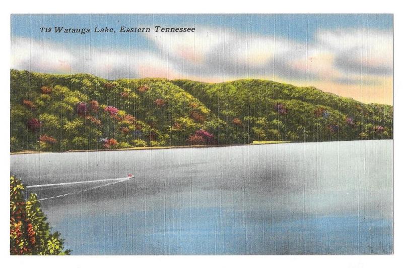 TN Lake Watauga Eastern Tennessee Vintage Linen Postcard