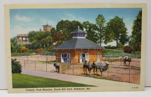 Baltimore Md Camels Park Mansion, Druid Hill Park Linen Era Postcard B6