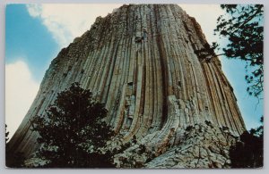 State View~Devils Tower @ Black Hills South Dakota~Vintage Postcard