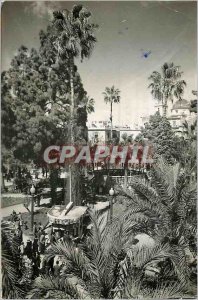 Postcard Modern Summer House of Jose Antonio