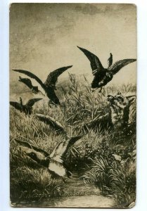 497303 Mueller MULLER Duck FOX HUNT Vintage RUSSIA postcard