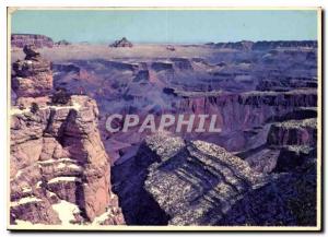 Modern Postcard Duck on the rock Grand Canyon National Park Arizona