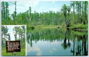 Postcard - Skull Lake, Okefenokee Swamp Park - Waycross, Georgia