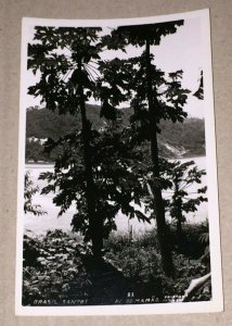 VINTAGE UNUSED REAL PHOTO POSTCARD SANTOS BRASIL SAINT VINCENT