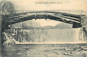 1909 Walton New York Howland's Dam #529 Postcard 25-12022
