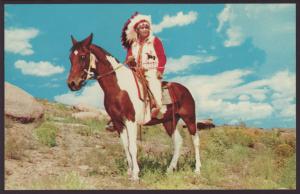 Indian Chief on Horseback Postcard