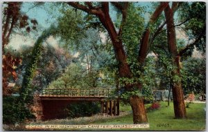 1917 Scene In Mount Washington Cemetery Kansas City Missouri MO Posted Postcard