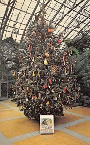 Educational Christmas Tree Cincinnati, Ohio, USA Unused 