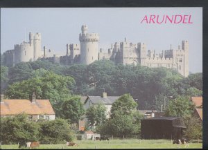 Sussex Postcard - Arundel Castle T1593