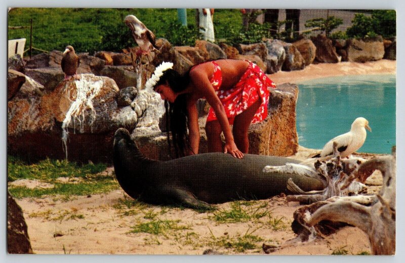 Postcard Hawaiian Woman and Monk Seal - Leeward Isle Pool