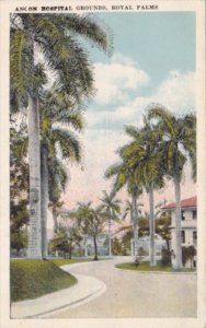 Panama Ancon Hospital Grounds Royal Palms