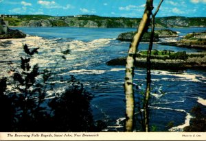 Canada Saint John The Reversing Falls Rapids