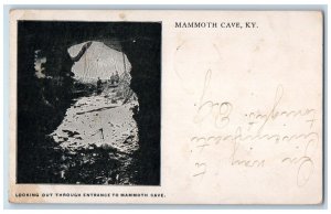 1908 Looking Out Through Entrance To  Mammoth Cave Kentucky KY Antique Postcard