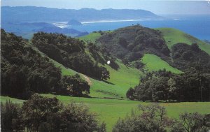 US4 US CA oaks and grassland as seen from Highway#46 Morro Rock