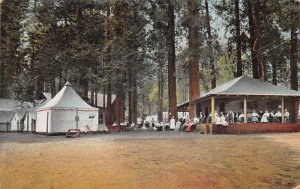 Yosemite California Camp Curry Pavilion and Tents Vintage Postcard AA82930