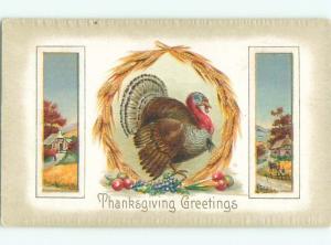 Divided-Back THANKSGIVING SCENE Great Postcard AA0522