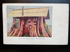 Vintage Postcard 1906 Cedar Stump Residence, Edgecomb, Washington