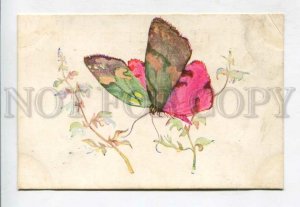 427055 Russia ART NOUVEAU Butterfly Vintage RARE Modern Art #1