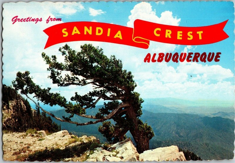 Greetings from Sandia Crest Albuquerque NM Scenic Postcard E02 