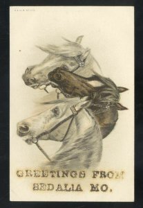 GREETINGS FROM SEDALIA MISSOURI MO. HORSE HORSES VINTAGE POSTCARD 1906