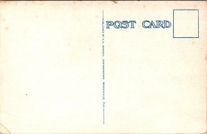 Hernando High School, Brooksville FL Vintage Postcard X79