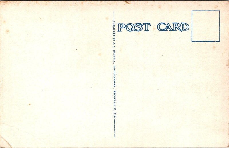 Hernando High School, Brooksville FL Vintage Postcard X79