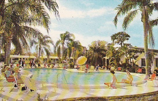Cocoanut Grove Motel Pool Saint Petersburg Florida