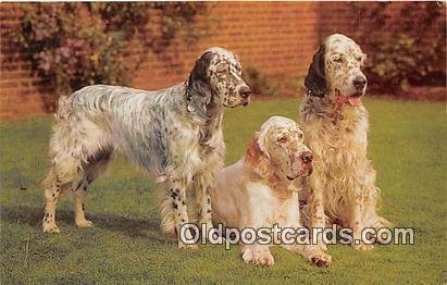 English Setters Salmon Watercolour Dog Unused 