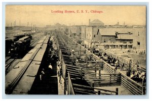 c1910's View Of Loading Horses U.S.Y. Chicago Illinois IL Unposted Postcard