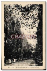 Postcard Ancient Arles Alyscamps Champs Elysees Romans
