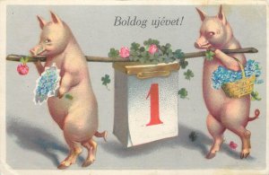 New Year drawn luck pigs fantasy greetings postcard Hungary